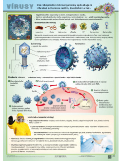 Vírusy