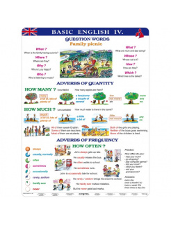 Basic English IV (A4)